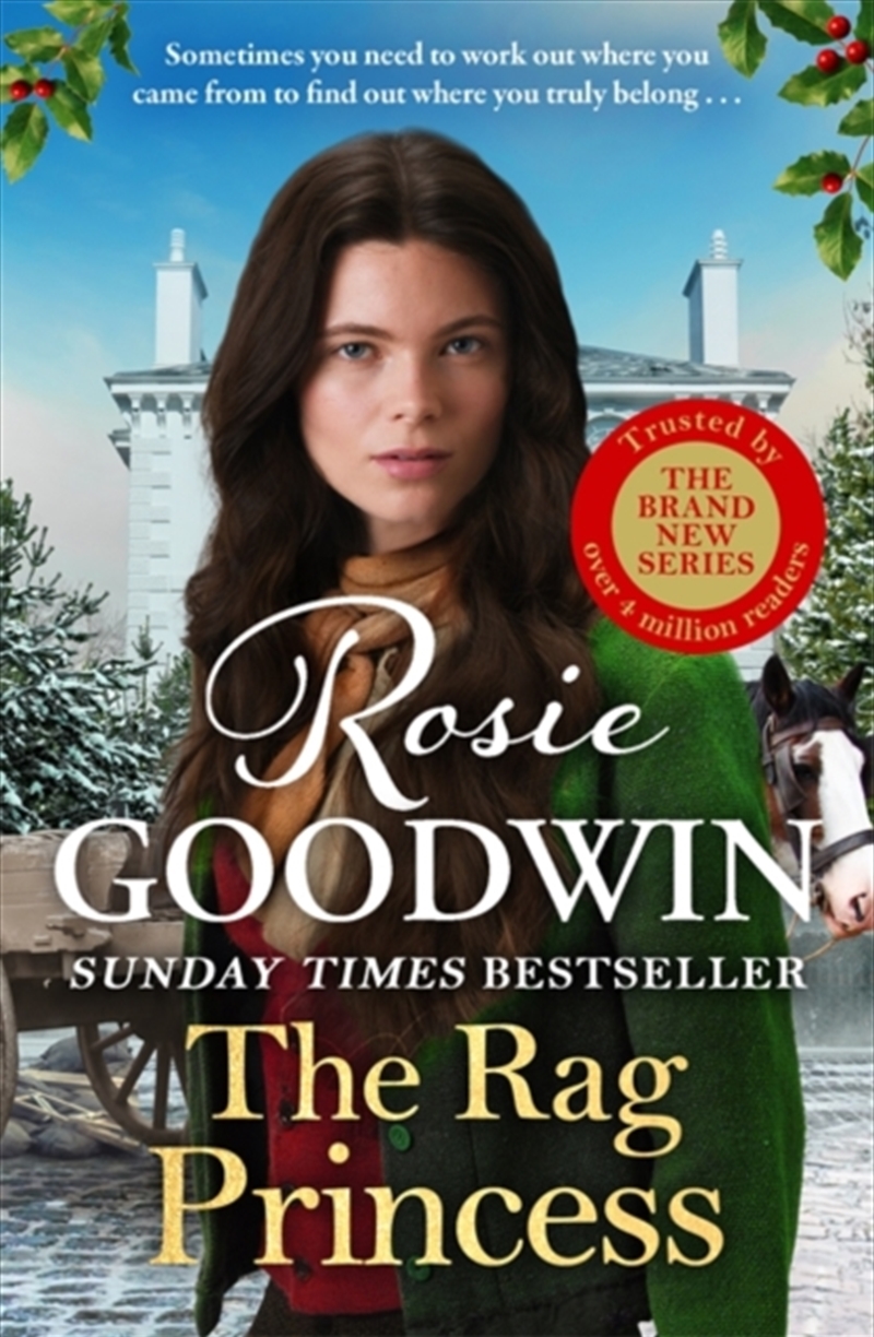 The Rag Princess/Product Detail/Historical Fiction