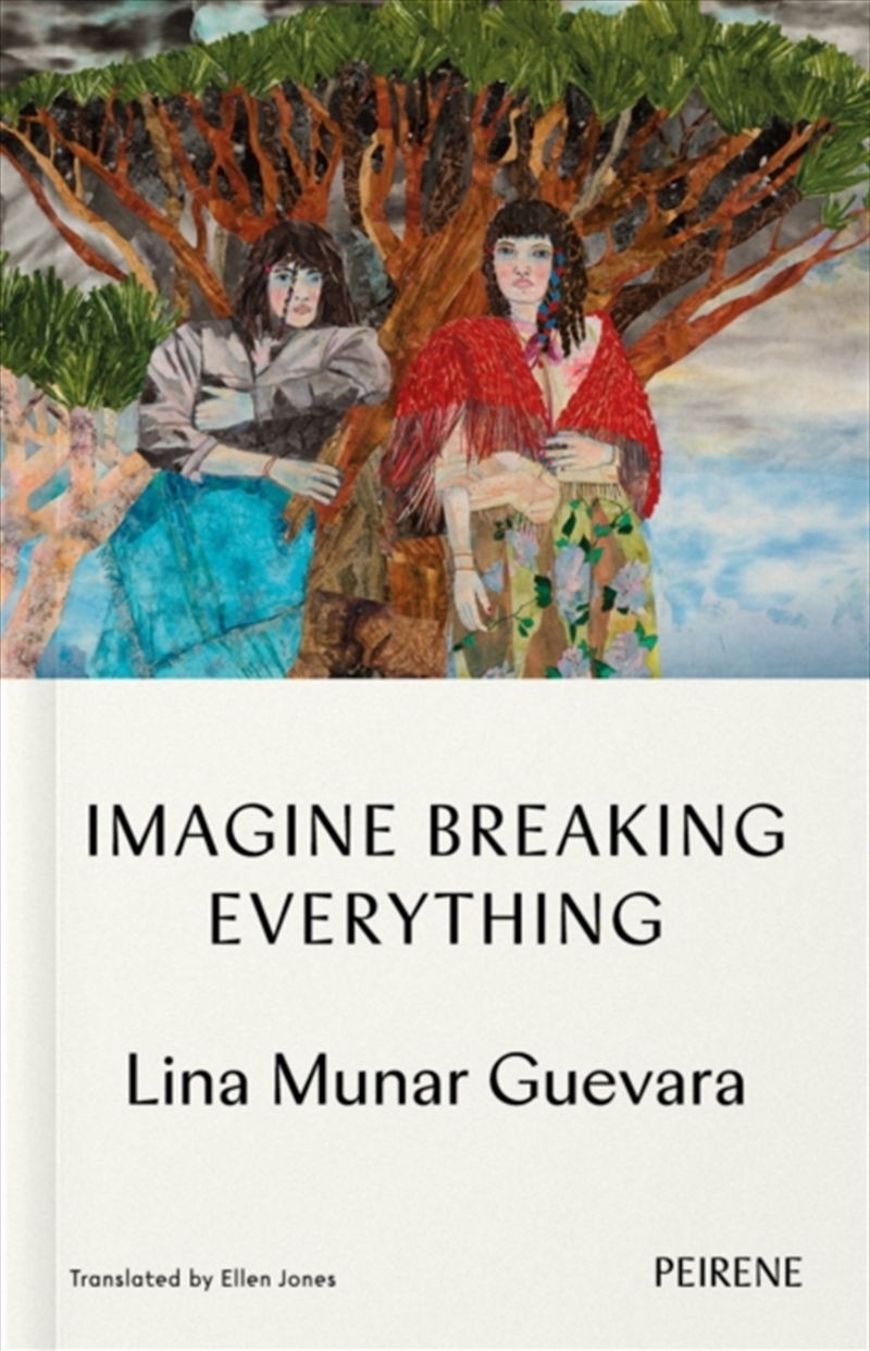 Imagine Breaking Everything/Product Detail/General Fiction Books
