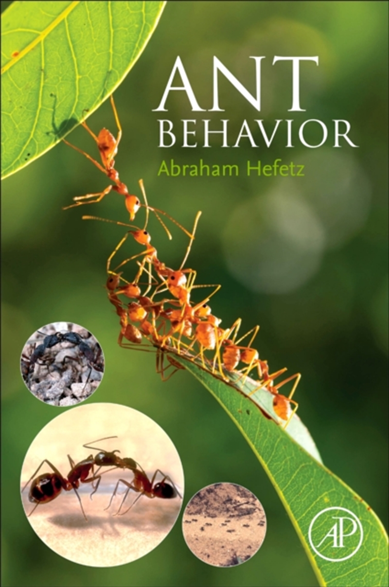 Ant Behavior/Product Detail/Science