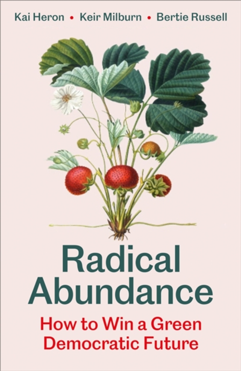 Radical Abundance : How To Win A Green Democratic Future/Product Detail/Politics & Government