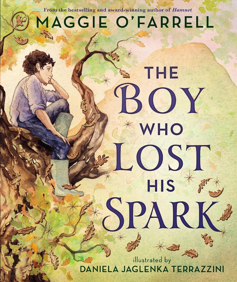 The Boy Who Lost His Spark/Product Detail/Childrens Fiction Books