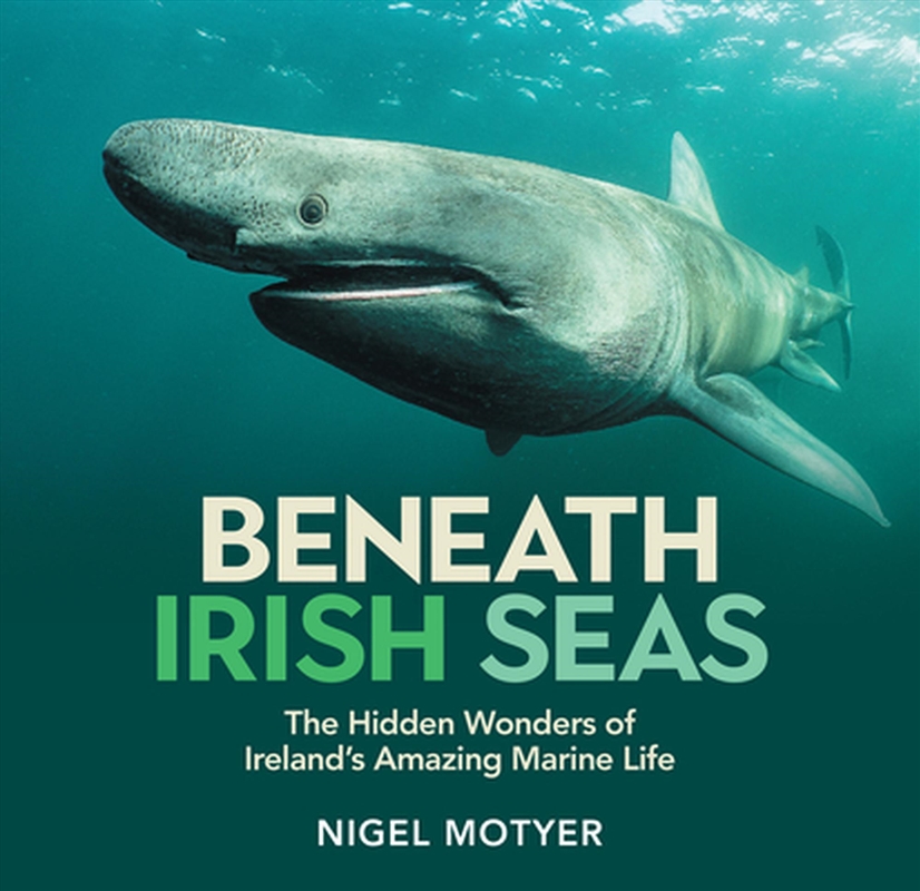 Beneath Irish Seas : The Hidden Wonders Of Ireland’S Amazing Marine Life/Product Detail/Animals & Nature