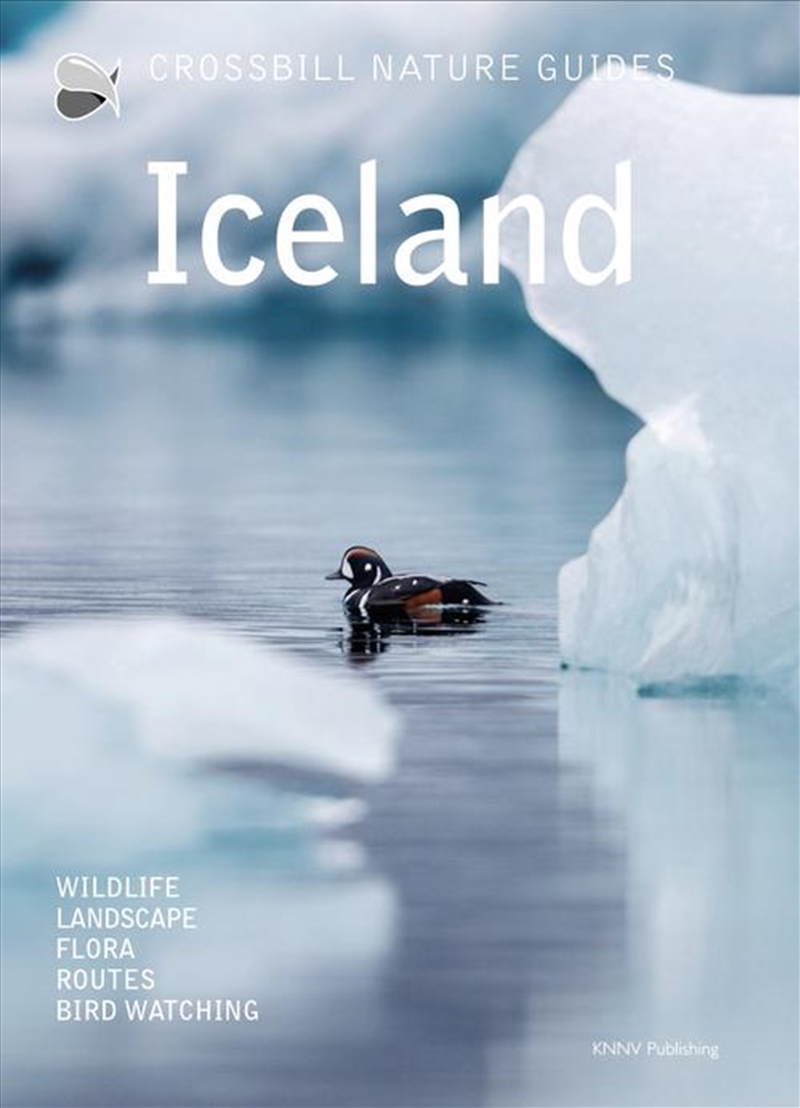Iceland/Product Detail/Travel & Holidays