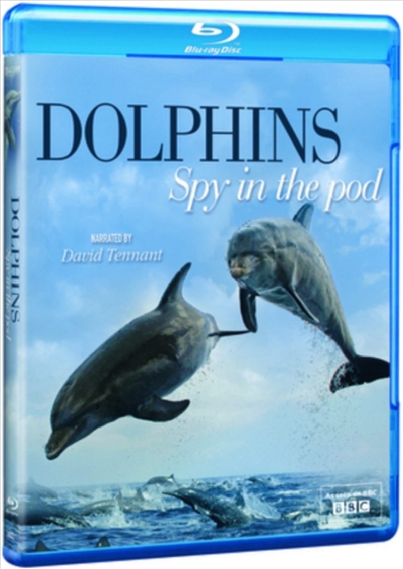 Dolphins - Spy In The Pod/Product Detail/Documentary