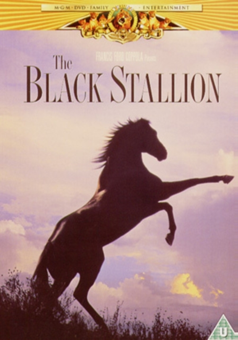 The Black Stallion (1979) (REGION 2)/Product Detail/Drama
