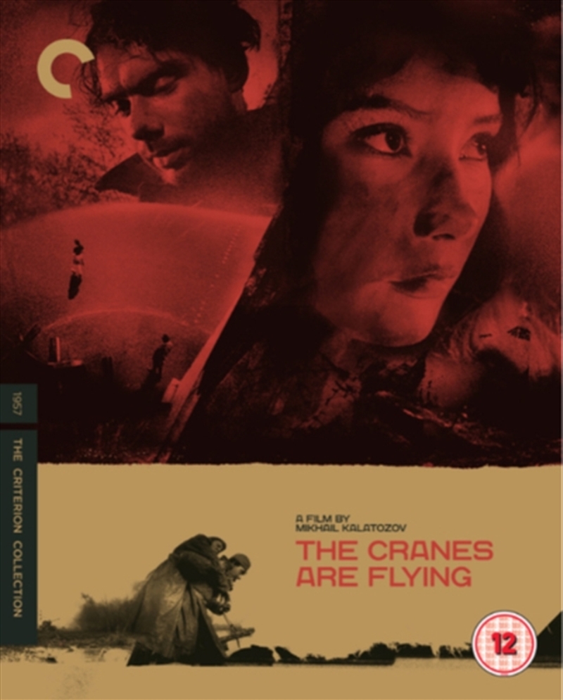 The Cranes Are Flying/Product Detail/Drama