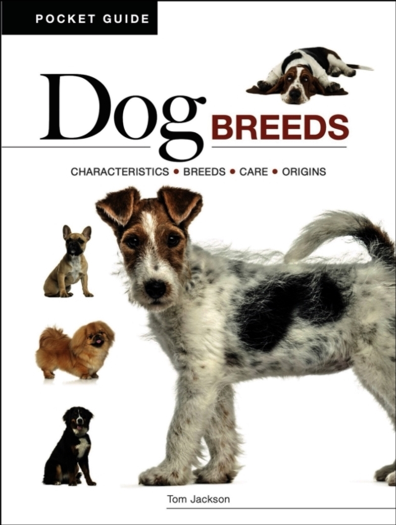 Dog Breeds : Characteristics * Breeds * Care * Origins/Product Detail/Animals & Nature