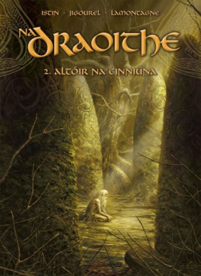Na Draoithe 2: Altoir Na Cinniuna/Product Detail/Graphic Novels