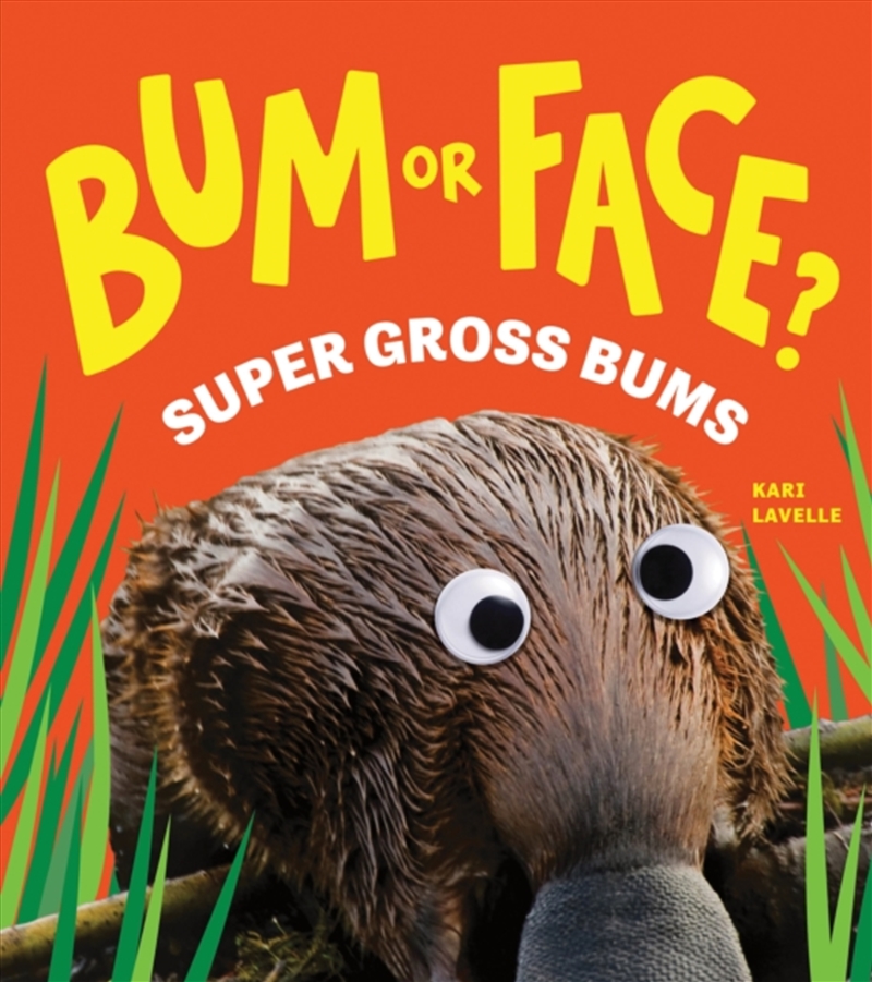 Bum Or Face? Volume 3 : Super Gross Bums/Product Detail/Early Childhood Fiction Books