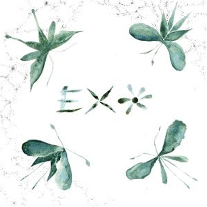 Exo/Product Detail/World