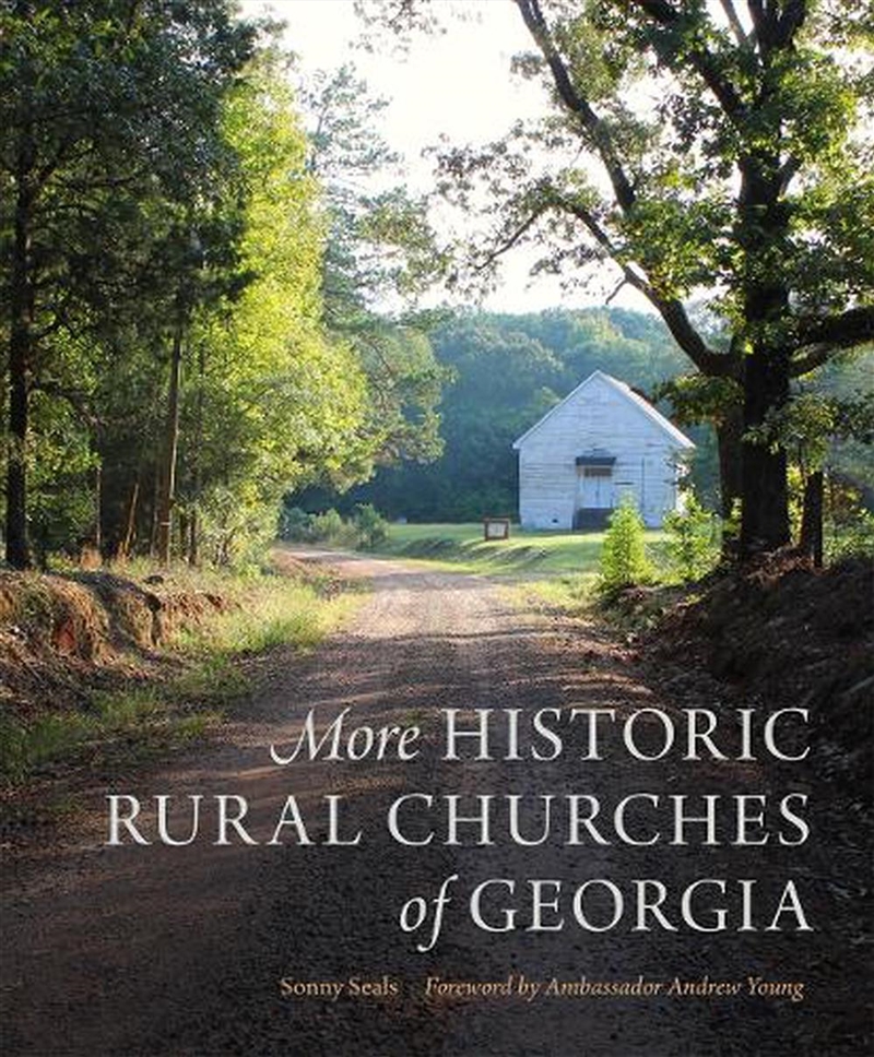 More Historic Rural Churches Of Georgia/Product Detail/Architecture