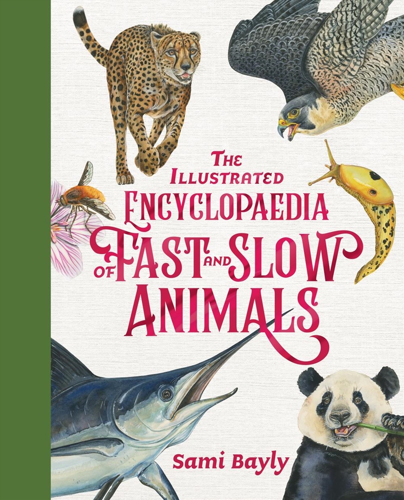 The Illustrated Encyclopaedia Of Fast And Slow Animals/Product Detail/Early Childhood Fiction Books