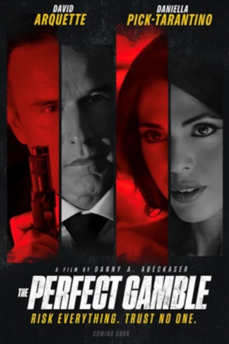 The Perfect Gamble (REGION 2)/Product Detail/Drama