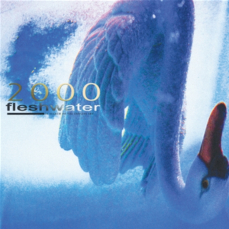 2000 - In Search Of The Endless Sky/Product Detail/Rock/Pop