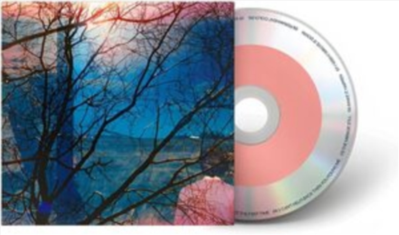 Idlewild/Product Detail/Rock/Pop