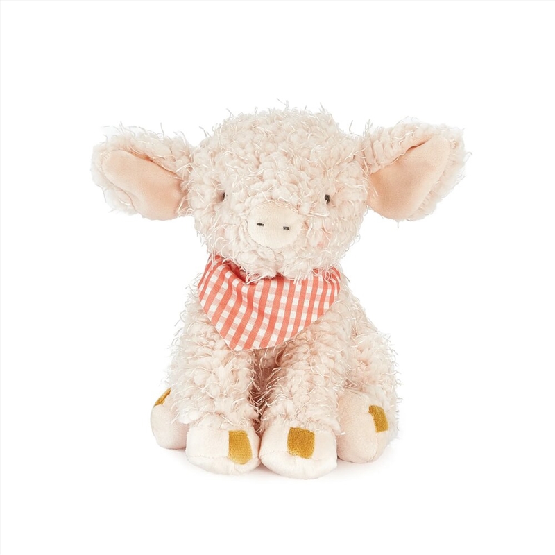 Soft Toy - Hammie The Pig/Product Detail/Plush Toys