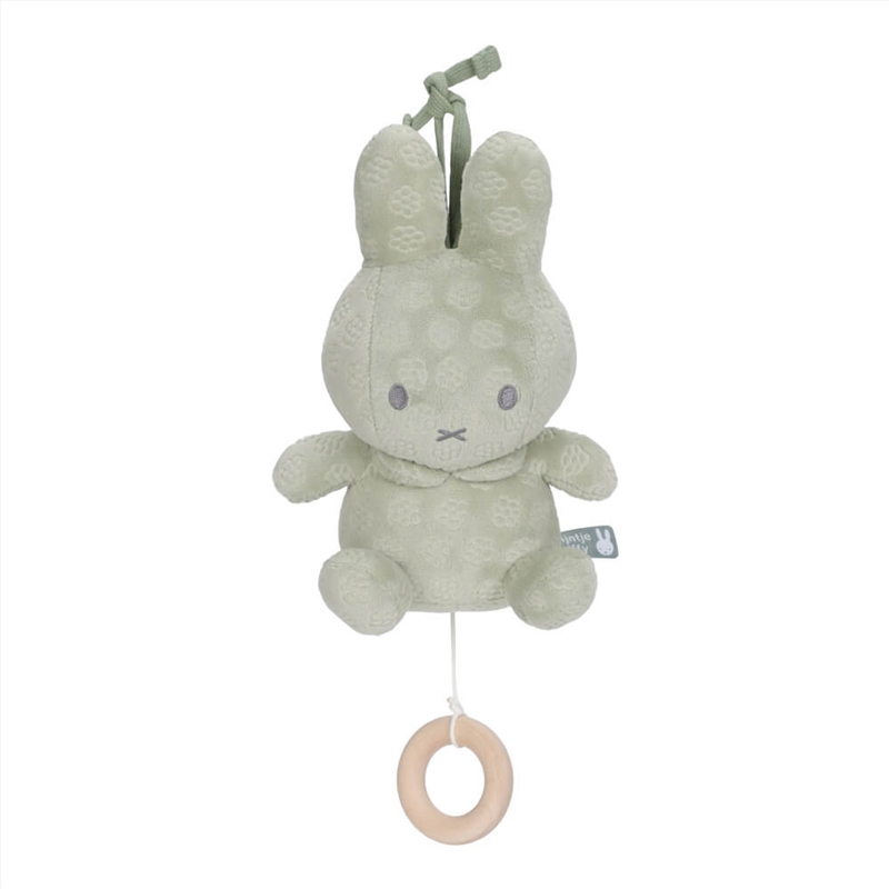 Activity Toy - Miffy Flowers Green Musical Pulldown/Product Detail/Toys