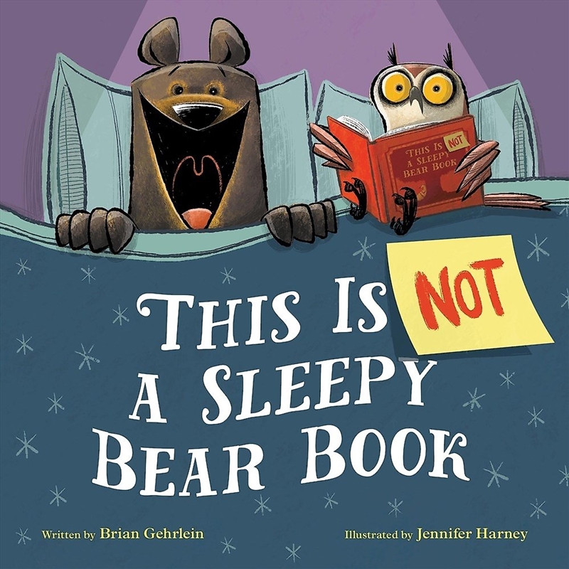 This Is Not a Sleepy Bear Book/Product Detail/Childrens Fiction Books