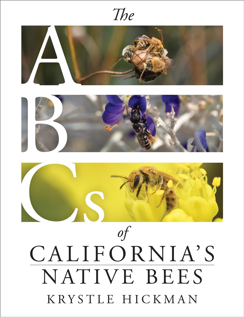 The ABCs of California's Native Bees/Product Detail/Animals & Nature