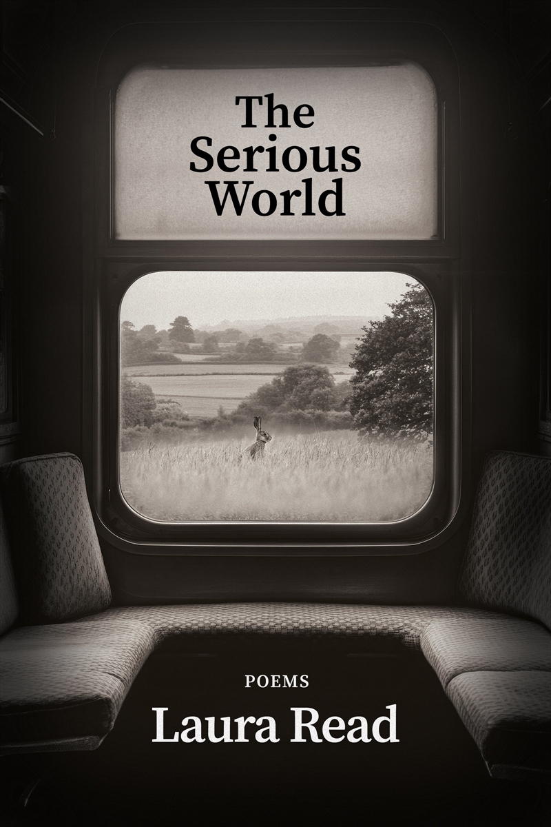 The Serious World/Product Detail/Reading