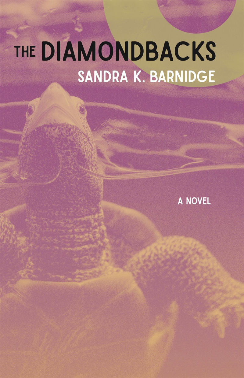 The Diamondbacks/Product Detail/General Fiction Books