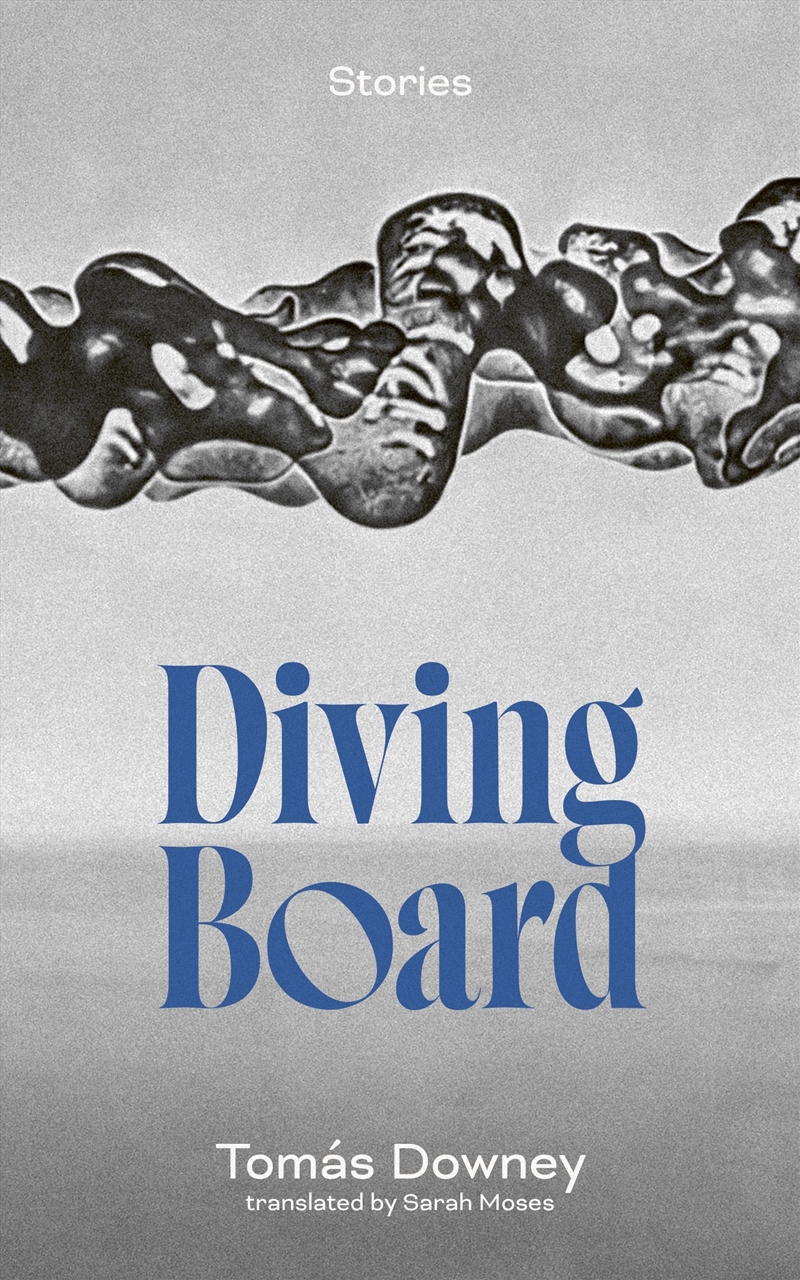 Diving Board/Product Detail/General Fiction Books