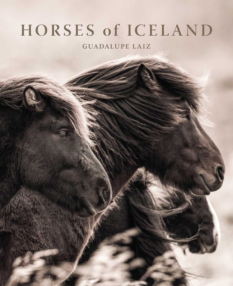 Horses of Iceland/Product Detail/Photography