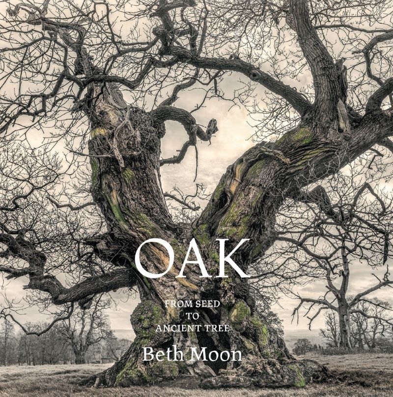 Oak: From Seed to Ancient Tree/Product Detail/Photography