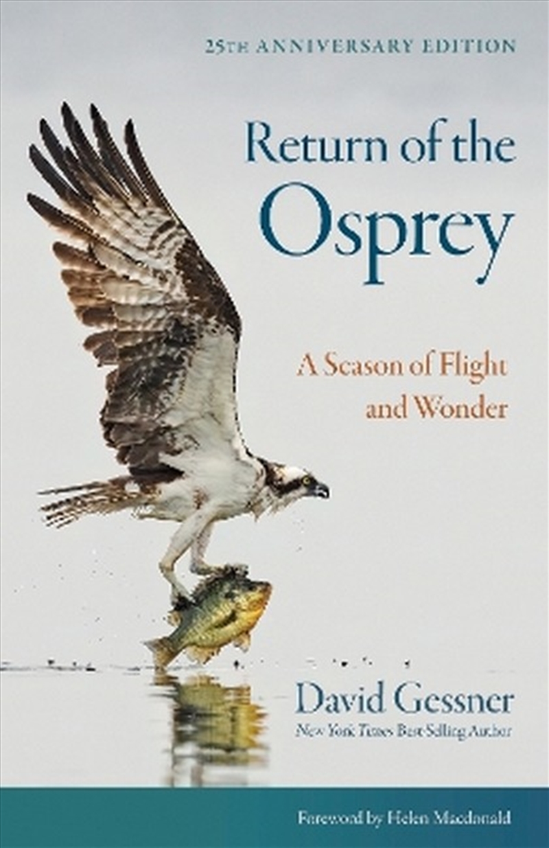 Return Of The Osprey/Product Detail/Animals & Nature