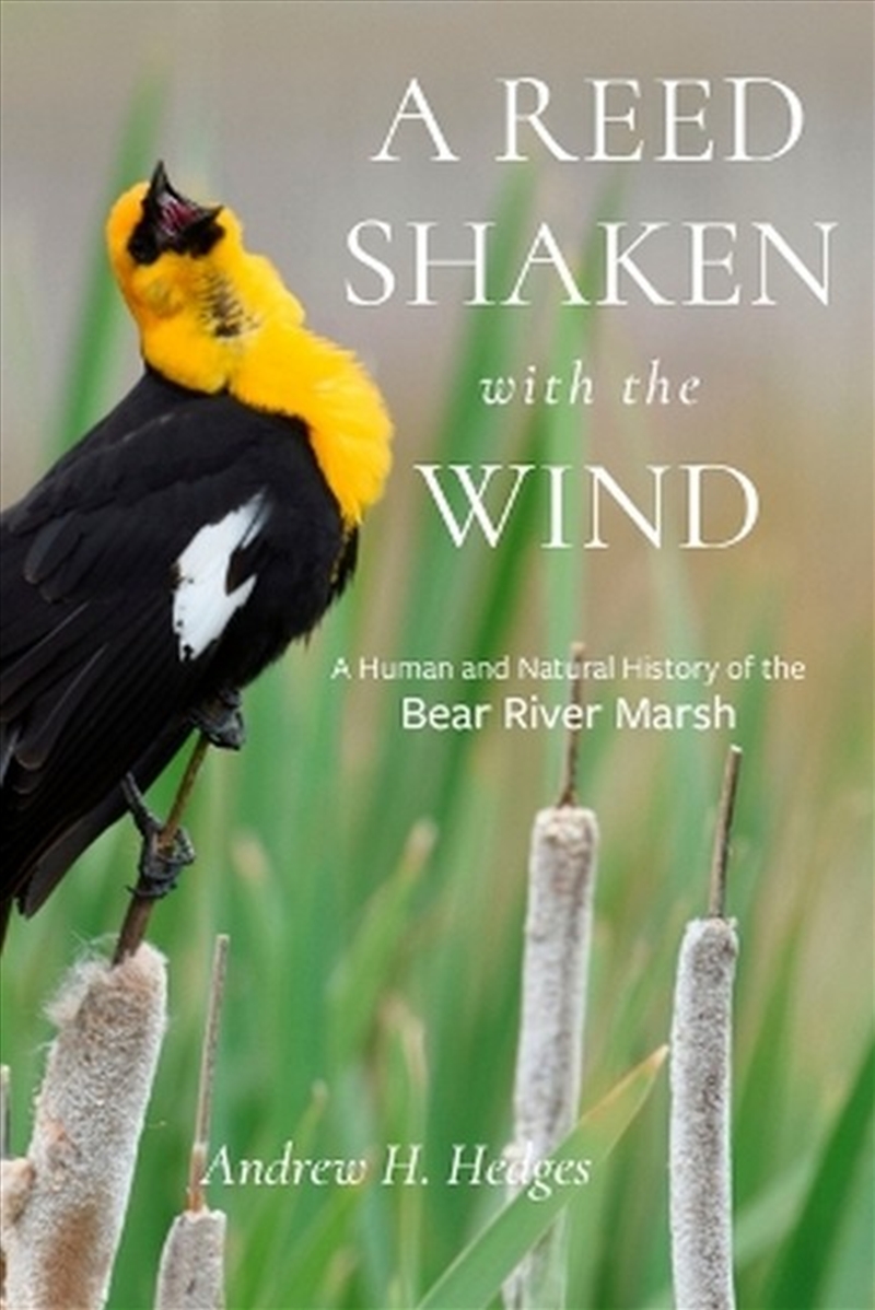 A Reed Shaken with the Wind/Product Detail/Animals & Nature