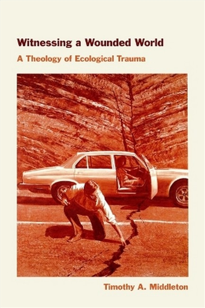 Witnessing a Wounded World/Product Detail/Psychology
