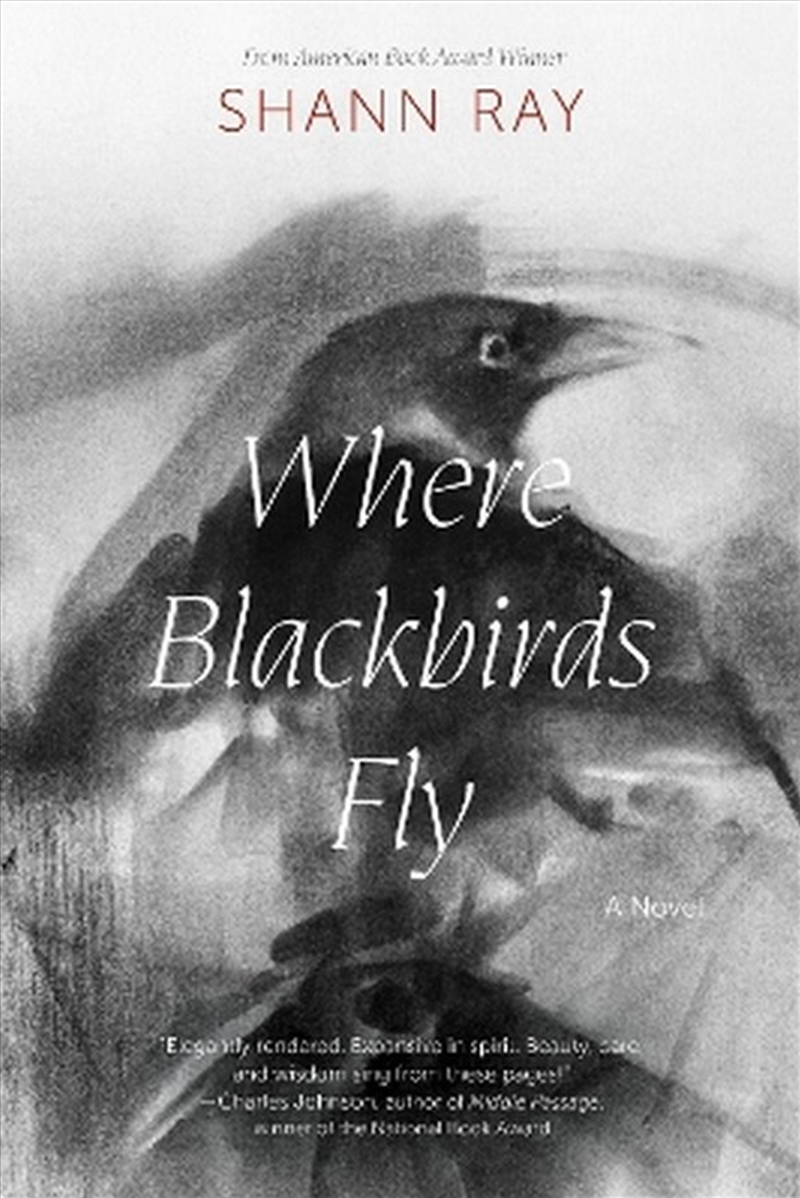 Where Blackbirds Fly/Product Detail/General Fiction Books