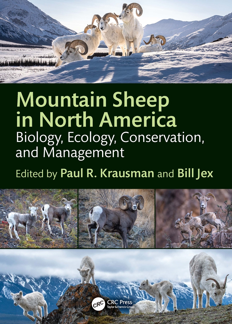 Mountain Sheep In North Americ/Product Detail/Animals & Nature