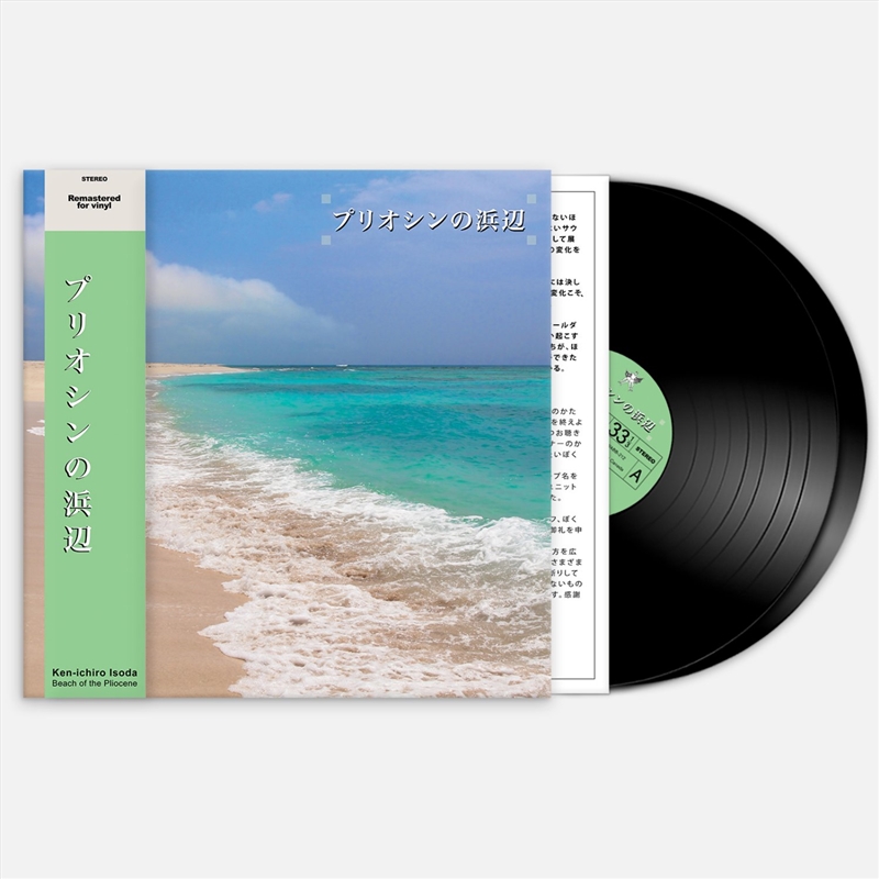 Beach of the Pliocene/Product Detail/Specialist