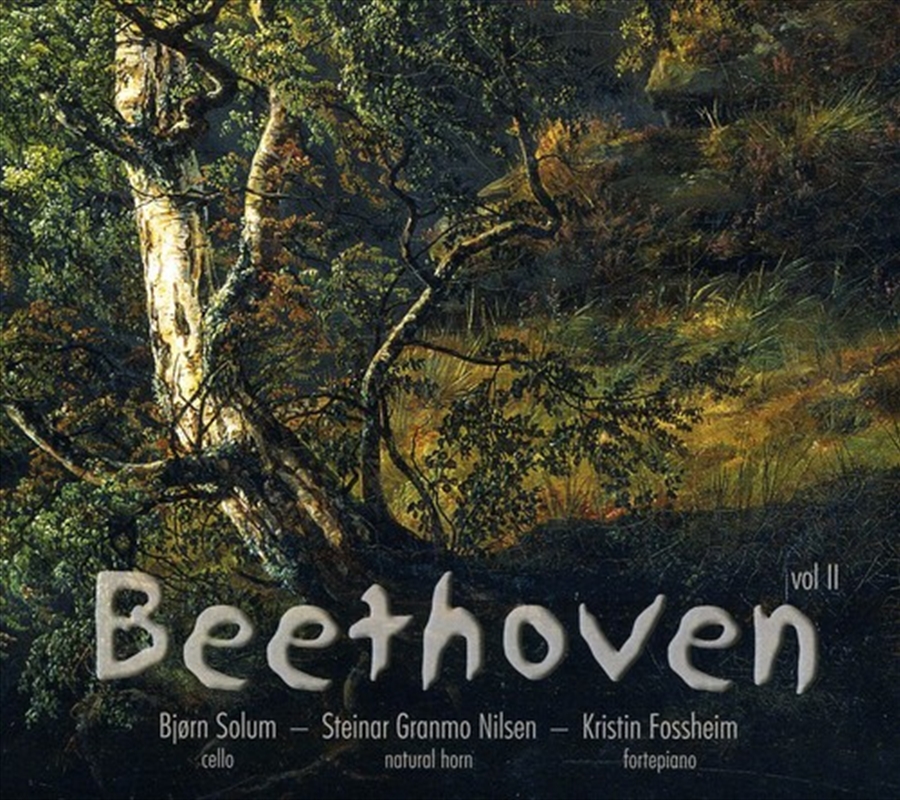 Beethoven Sonatas 2/Product Detail/Classical