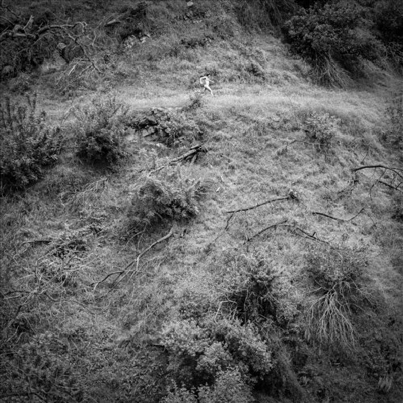 Animal Poem/Product Detail/Blues