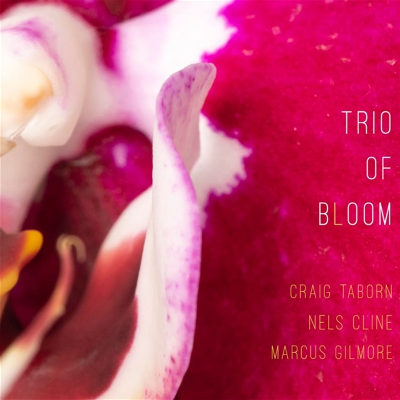 Trio Of Bloom/Product Detail/Jazz