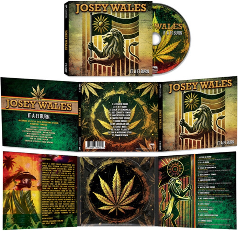 It A Fi Burn/Product Detail/Reggae