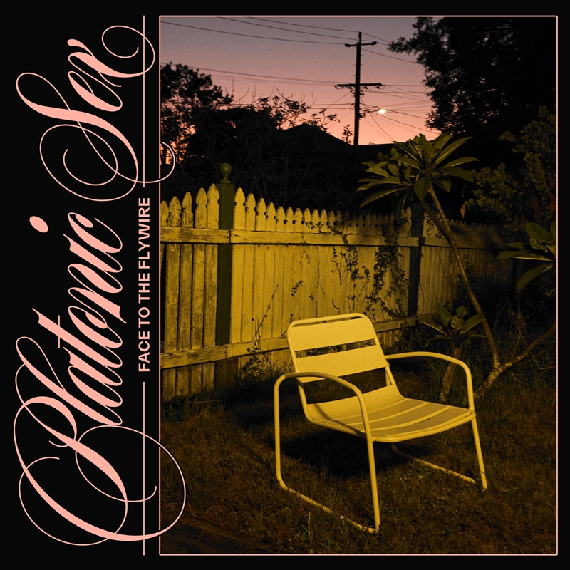 Face To The Flywire/Product Detail/Alternative