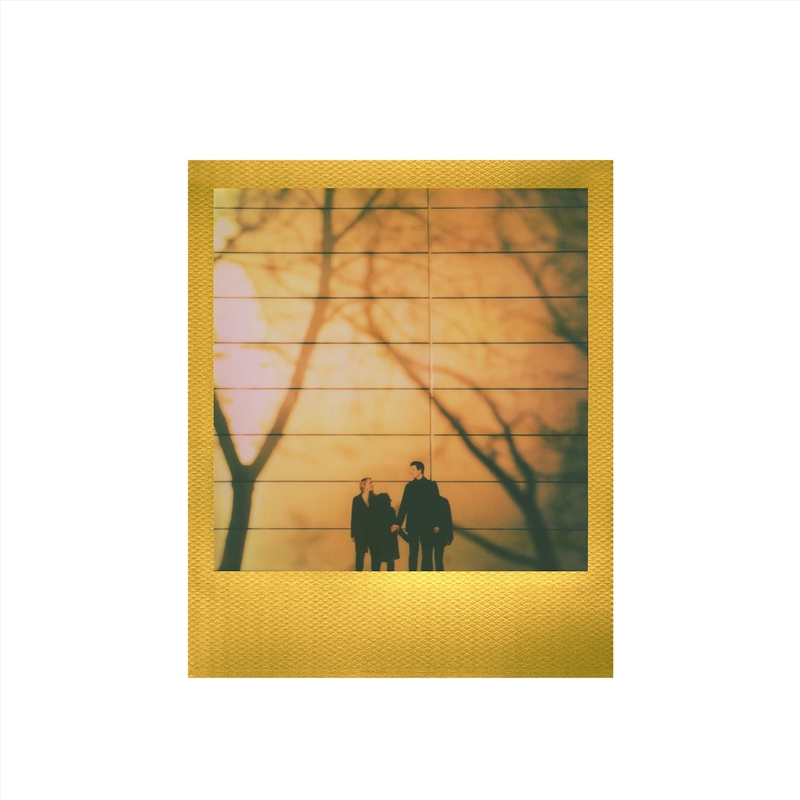 Polaroid Go Film Double Pack - Gold Frame Edition/Product Detail/Cameras