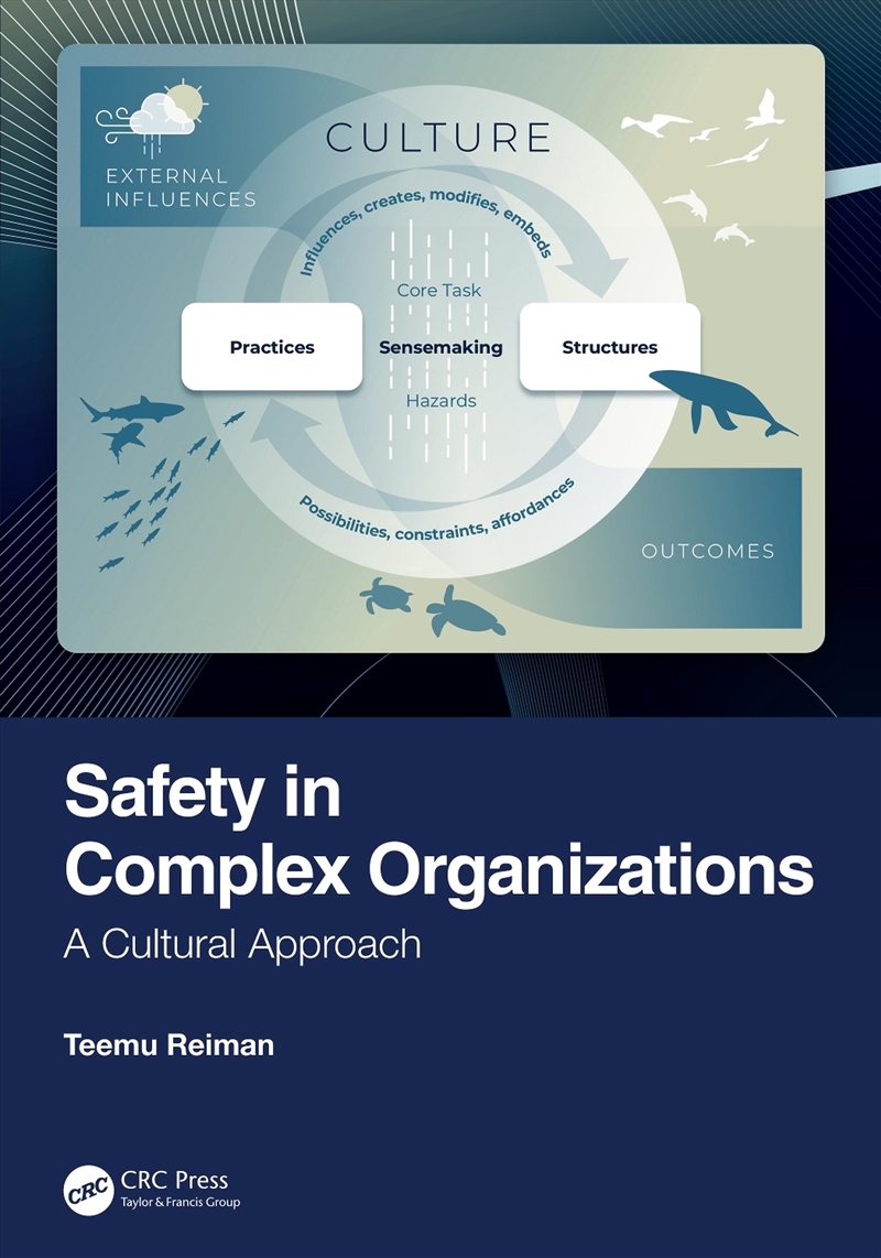 Safety in Complex Organizations: A Cultural Approach/Product Detail/Reading