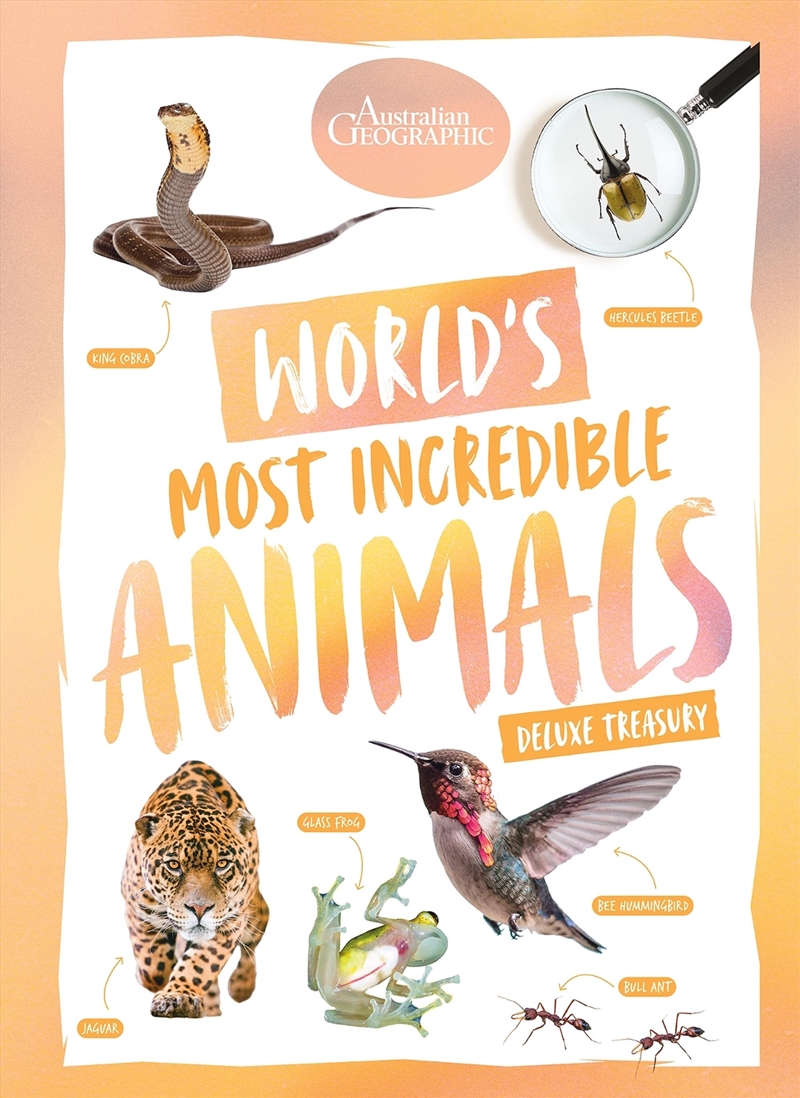 World’s Most Incredible Animals/Product Detail/Childrens Fiction Books