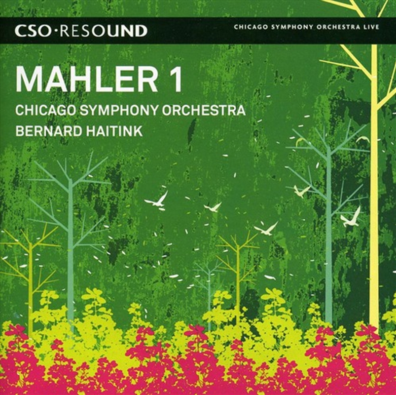 Symphony No 1/Product Detail/Classical