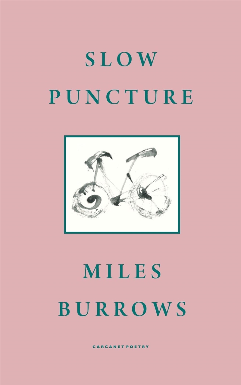 Slow Puncture/Product Detail/Reading