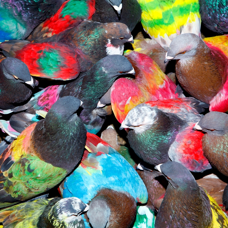 SickElixir/Product Detail/Dance