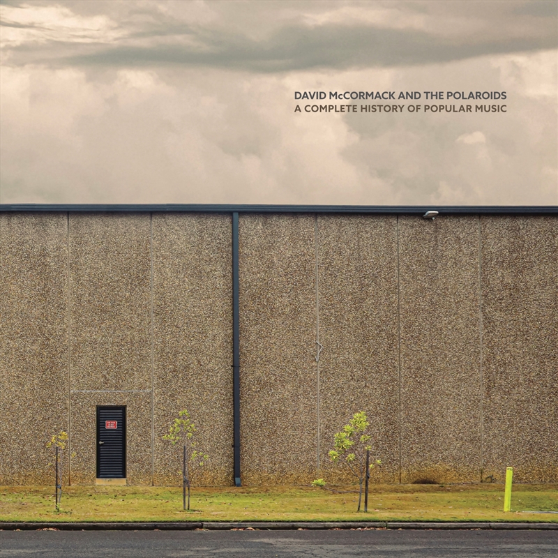 A Complete History of Popular Music/Product Detail/Alternative