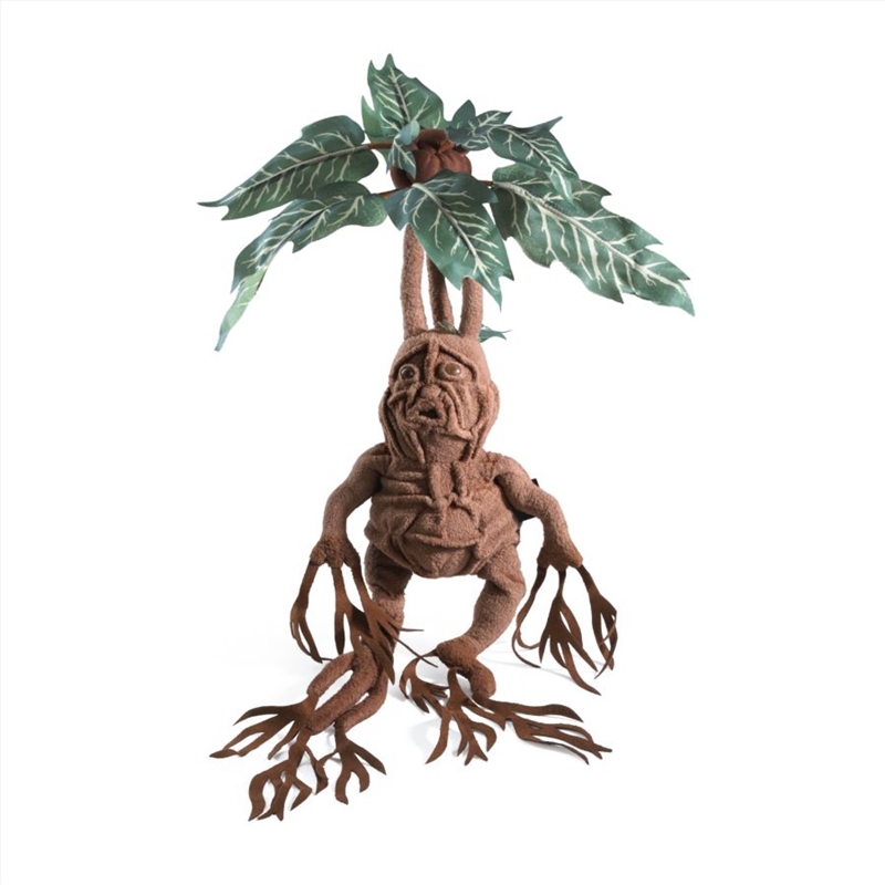 Harry Potter - Mandrake Collector Plush/Product Detail/Plush Toys