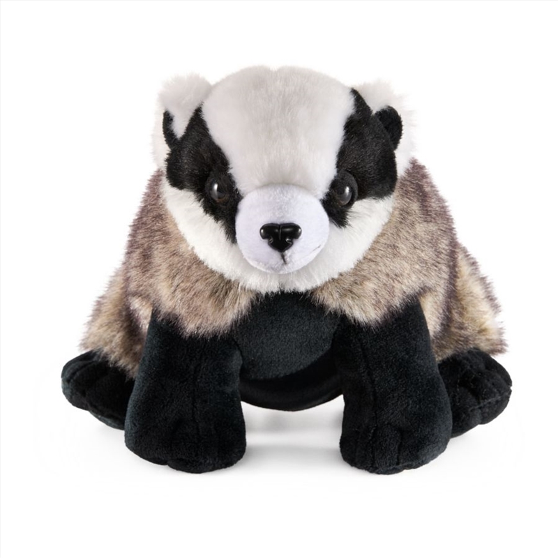 Harry Potter - Hufflepuff Badger Mascot Plush/Product Detail/Plush Toys