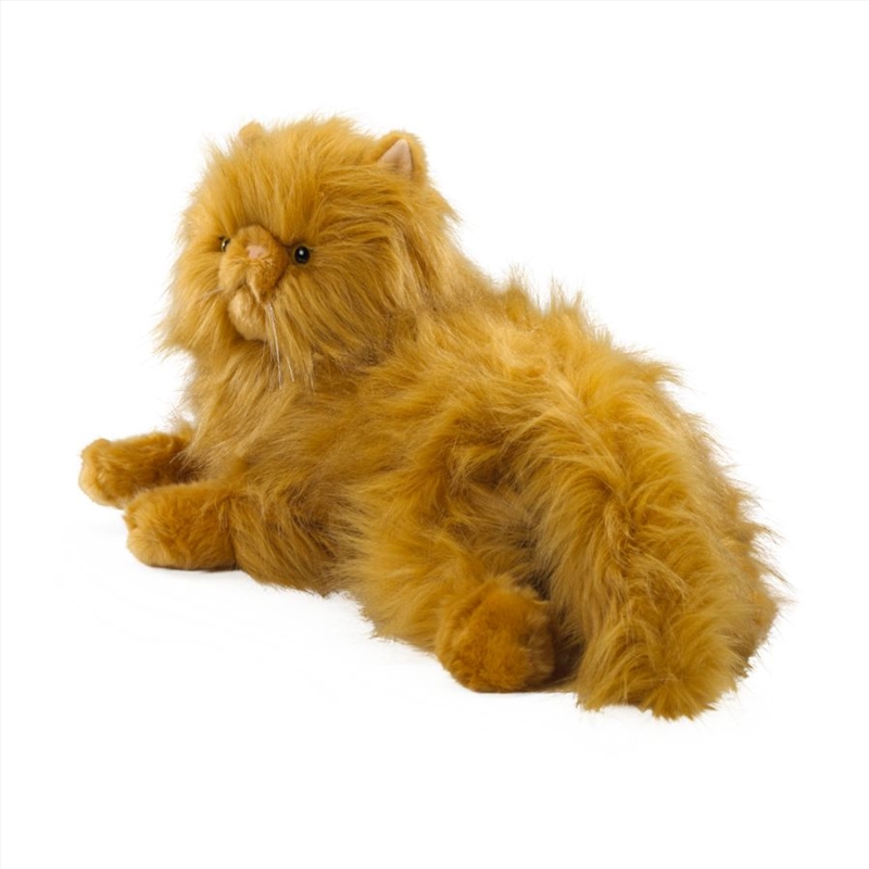 Harry Potter - Crookshanks Collector's 48cm Plush/Product Detail/Plush Toys