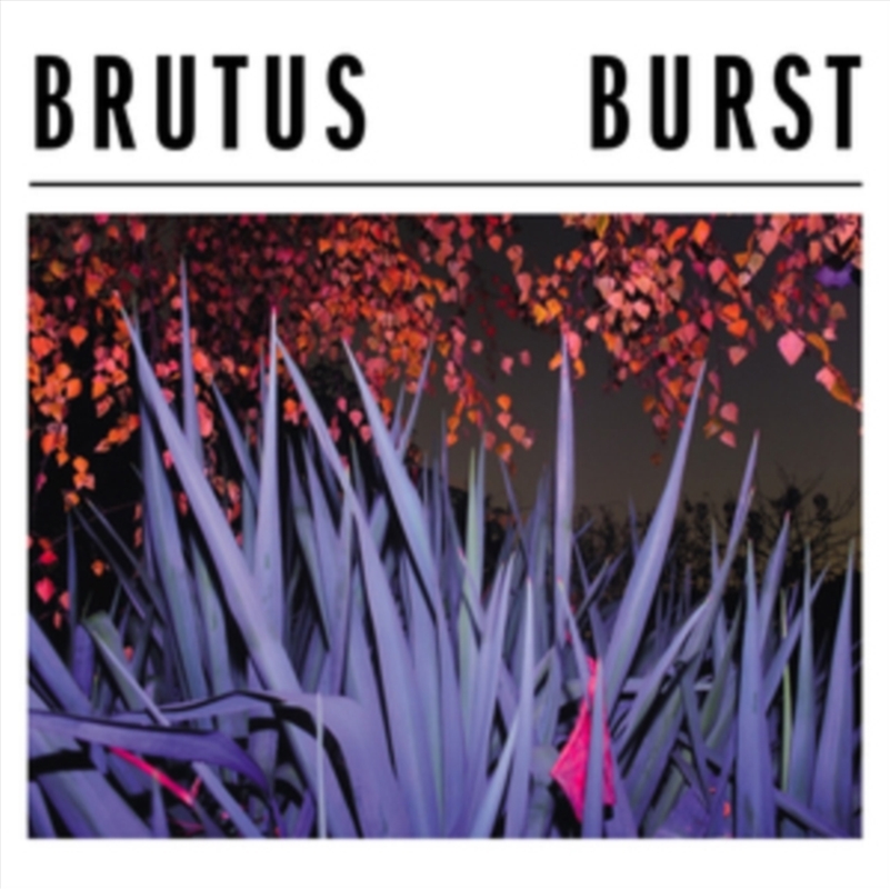 Burst/Product Detail/R&B